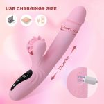 Female sex massage stick sucking pea vibrator female masturbator adult sex products - Image 5