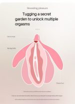 Violet Viotec Whispering Rose - Image 7